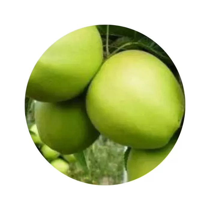 Яблуня "Гренні Сміт" (Granny Smith) (біла м’якоть, зимовий сорт)